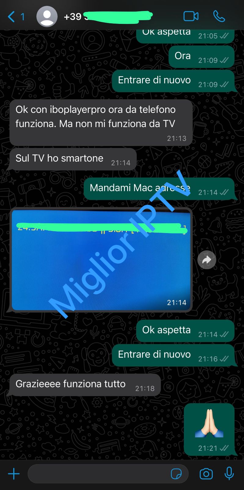 WhatsApp Image 2025-05-27 at 00.18.00_384fb15e