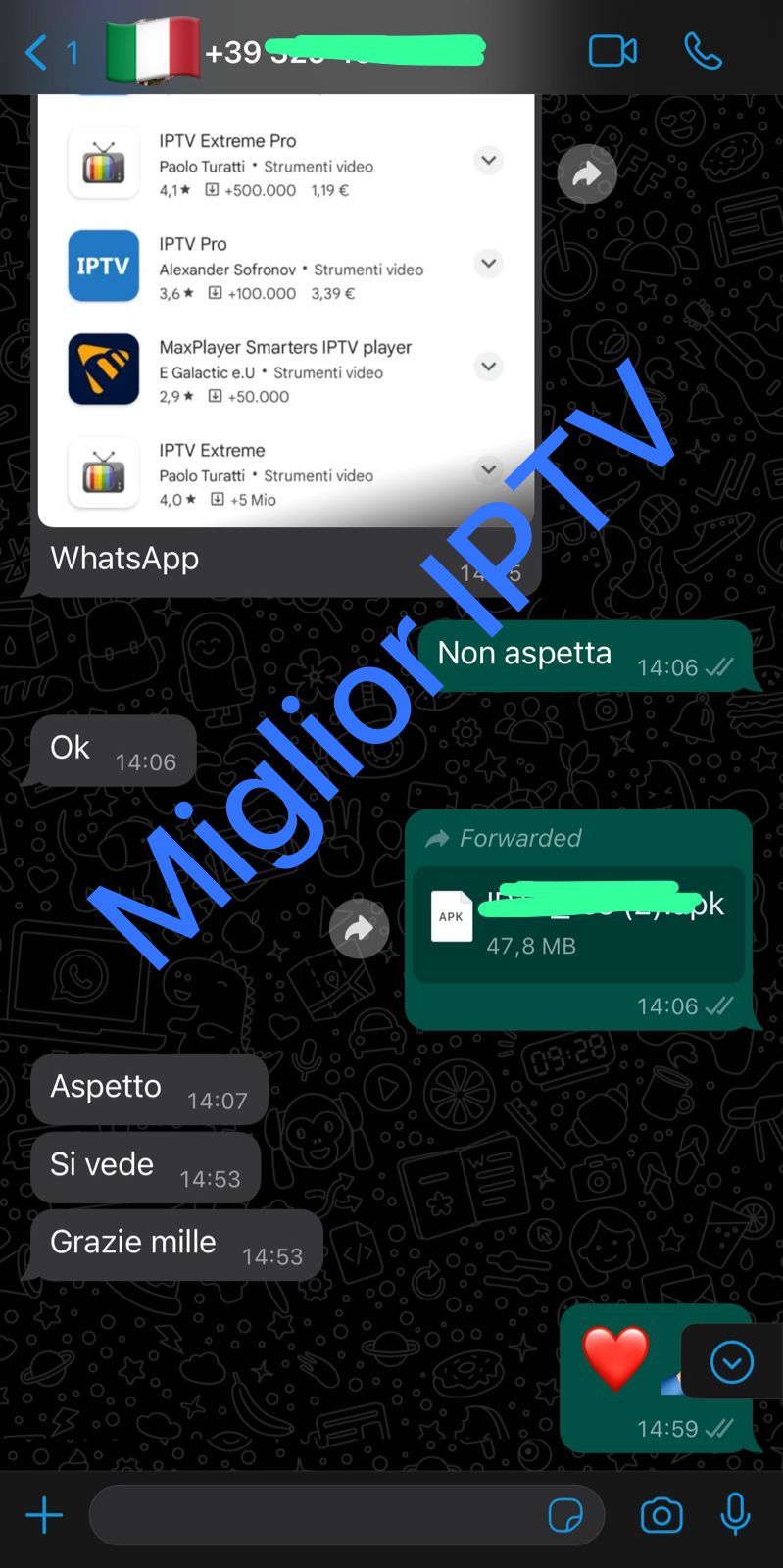 WhatsApp Image 2025-05-27 at 00.18.00_3dfc2c4d