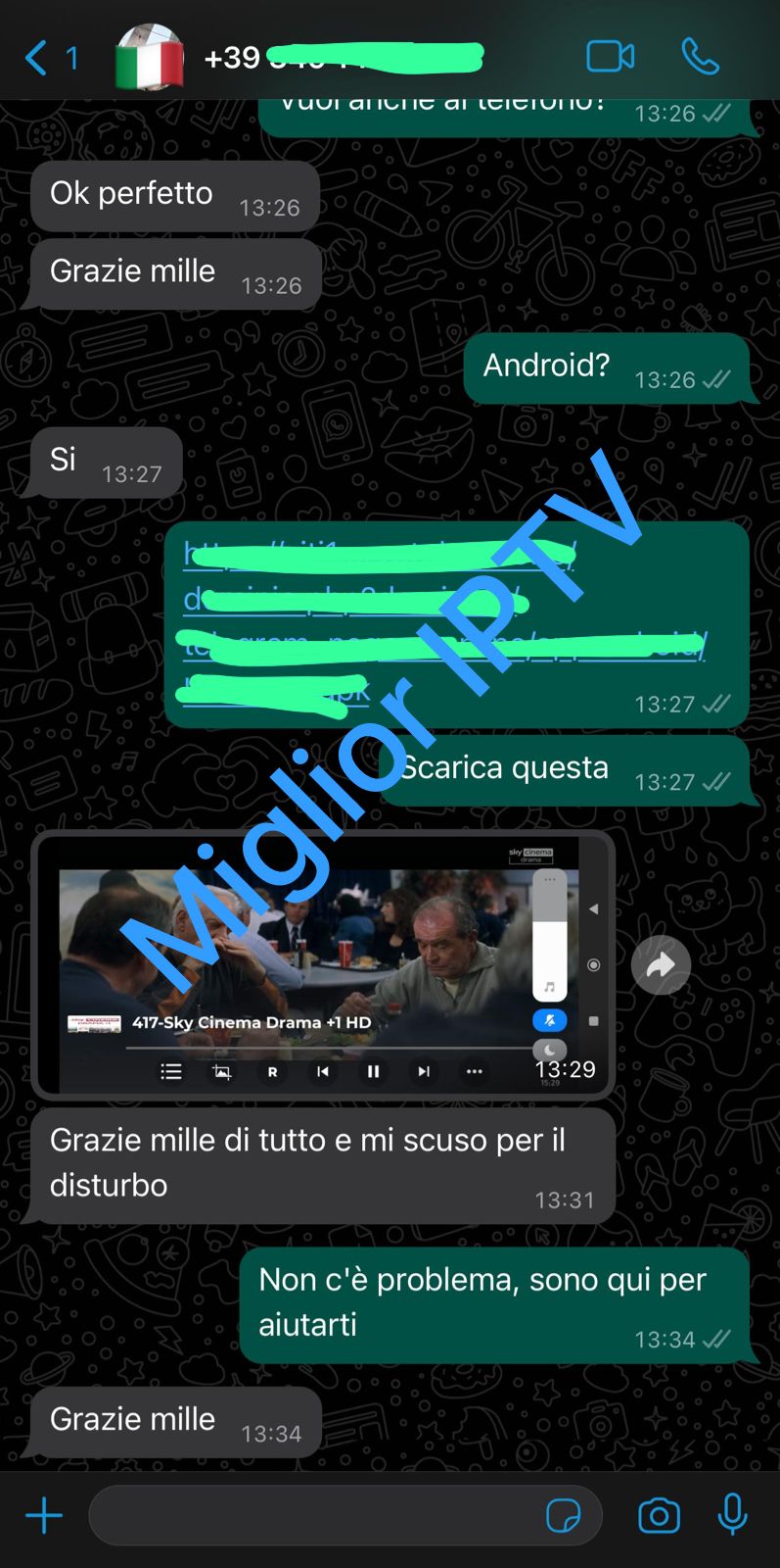 WhatsApp Image 2025-05-27 at 00.18.00_a087409c