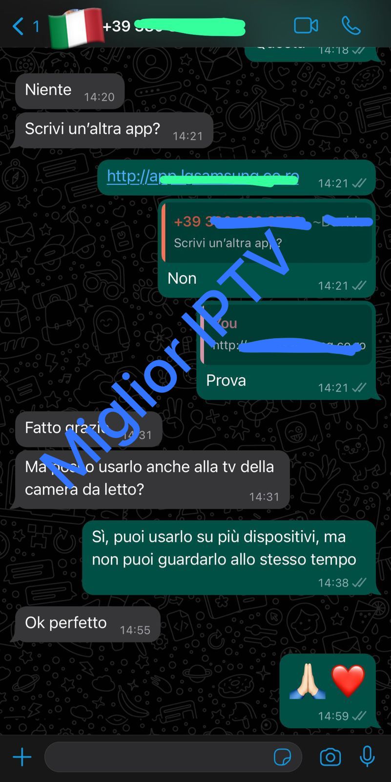 WhatsApp Image 2025-05-27 at 00.27.42_36dc101f